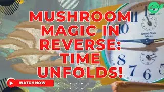 Mushroom Magic in Reverse: Time Unfolds!