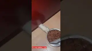 Котики 🐈 я и моя любовь к еде 😂 #smartphone #cat #catvideos #кот #мем #funny #юмор #funnyanimals