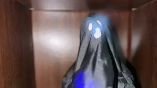 Gemmy 2010 ~ Grave Raver Shadow Ghost