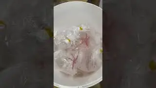 "Калипсо Аква"