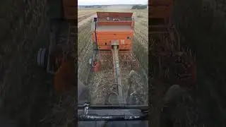 Prasowanie słomy i koniec żniw 2023 z MF 3080