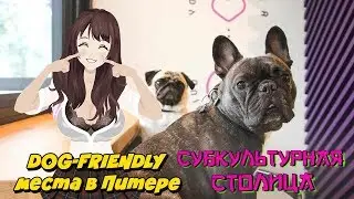 Куда сходить в Питере? Dog-Friendly места Санкт-Петербурга (2019)