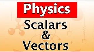 @Understanding Scalars and Vectors