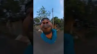 #reels #viral #viralreels #youtubeshorts #insta360 #bee