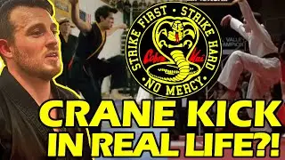 Does the CRANE KICK Actually Work?! Cobra Kai / Karate Kid Breakdown