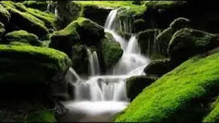 Neptun & CHAT  -  🔴МУЗЫКА В МАШИНУ 2023 🔴 ХИТЫ 2023🔴 - 🔴РУССКАЯ МУЗЫКА 2023🔴 - ЛУЧШИЕ ПЕСНИ 2023🔴