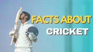 Facts Bout Cricket 🏏 | Amazing Facts Of Cricket Sports By P BRAND 🔥