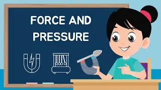 Quick Revision: Force and Pressure