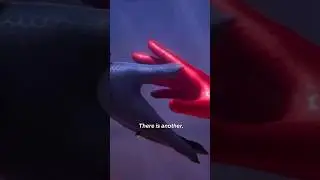 miraculous: tale of ladybug and cat noir season 5