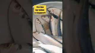 First time buy tamban in Singapore!!!!!!! #fish #seafood #healthy #viralshorts #foodvideos