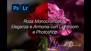 🎨 Rosa Monocromatico: Eleganza e Armonia con Lightroom e Photoshop