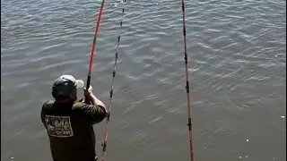 Fishin for bluecats on wing dam treacherous footing!