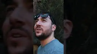 Whistling the Jurassic Park theme 