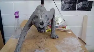 Snow Leopard Sculpt Week 1