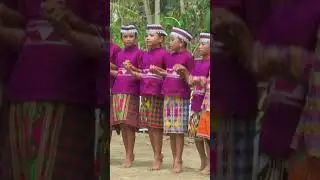 Molulo Asik_Tarian dari Sulawesi Tenggara #shorts