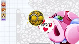 NO RISK NO FUN 🤩 (AGARIO MOBILE)