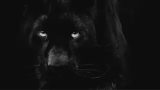Sabote - CORLEONE EP (Official Teaser)