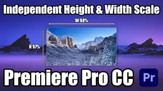 How to scale Height and Width Separately in Premiere Pro CC