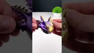 Axolotl Cuteness Overload 