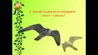 Буктрейлер по книге 
