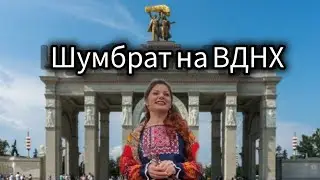 Шумбрат на ВДНХ 😍