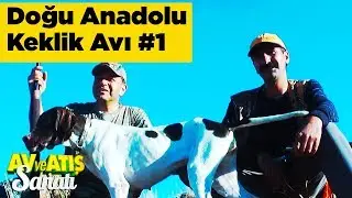 Doğu Anadolu Keklik Avı 1 Av Ve Atış Sanatı Yaban Tv