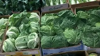 April 2, 2022 Today's price review for Vegetables and Root Crops, Food City market, 7 - 8 - cross...
