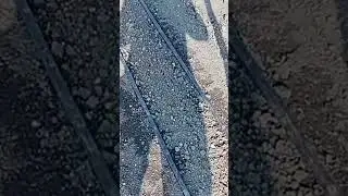 огурцы кс-90 в деревне