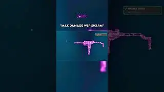 THE *MAX DAMAGE* WSP SWARM BUILD on WARZONE 👑 