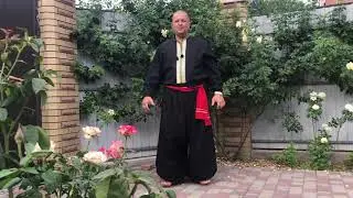 Ротарі 9 сил