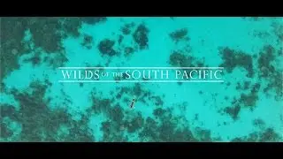 Wilds of the South Pacific