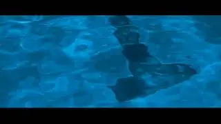 Blue Is The Colour ( Domenico Domnik Opipari ) Mad House Version