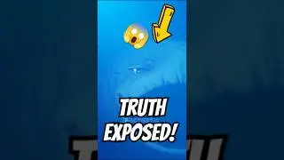 Is The BLOOP Actually Real?🐳😱