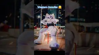 Do you like Western fursuits or Asian fursuits?