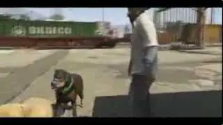 Grand Theft Auto V / GTA 5 / dogs having sex