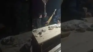 Аварская песня на пандуре ◀️