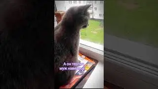 Два голубя😁 