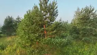 24 ноября 2023 г.