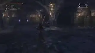 Bloodborne (no mic)