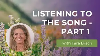 Listening to the Song: Awakening Awareness Through Deep Listening (Part 1) | Tara Brach