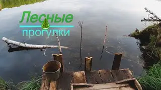 Безымянное озеро вблизи деревни Тоболово