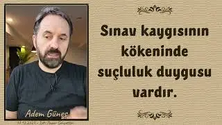 Sınav kaygısı, suçluluk duygusu, değersizlik duygusu, yetersizlik duygusu, onarım | Adem Güneş