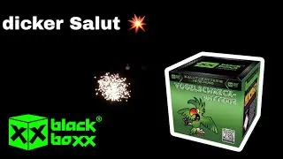 Blackboxx Vogelschreck / fette Salutbatterie für nur 10€ [4K]