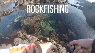 CRAZY ROCK FISHING EXCURSION / ULTRA-ULTRA LIGHT ROCK FISHING / Reunion Island 974
