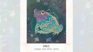 BIKE - Enigma dos Doze Sapos