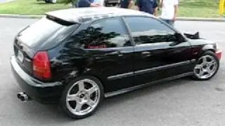 civette lives!!