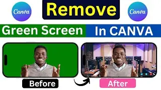 how to remove green screen in canva | how to remove video background in canva