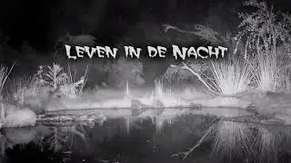 Leven in de Nacht movie