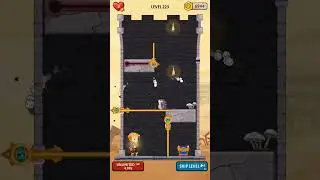 Level 223 
