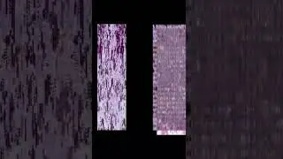 [Exprimental Film] Mir #avantgarde #contemporary #dryhumor #mediaart #shortfilm #experimentalcinema